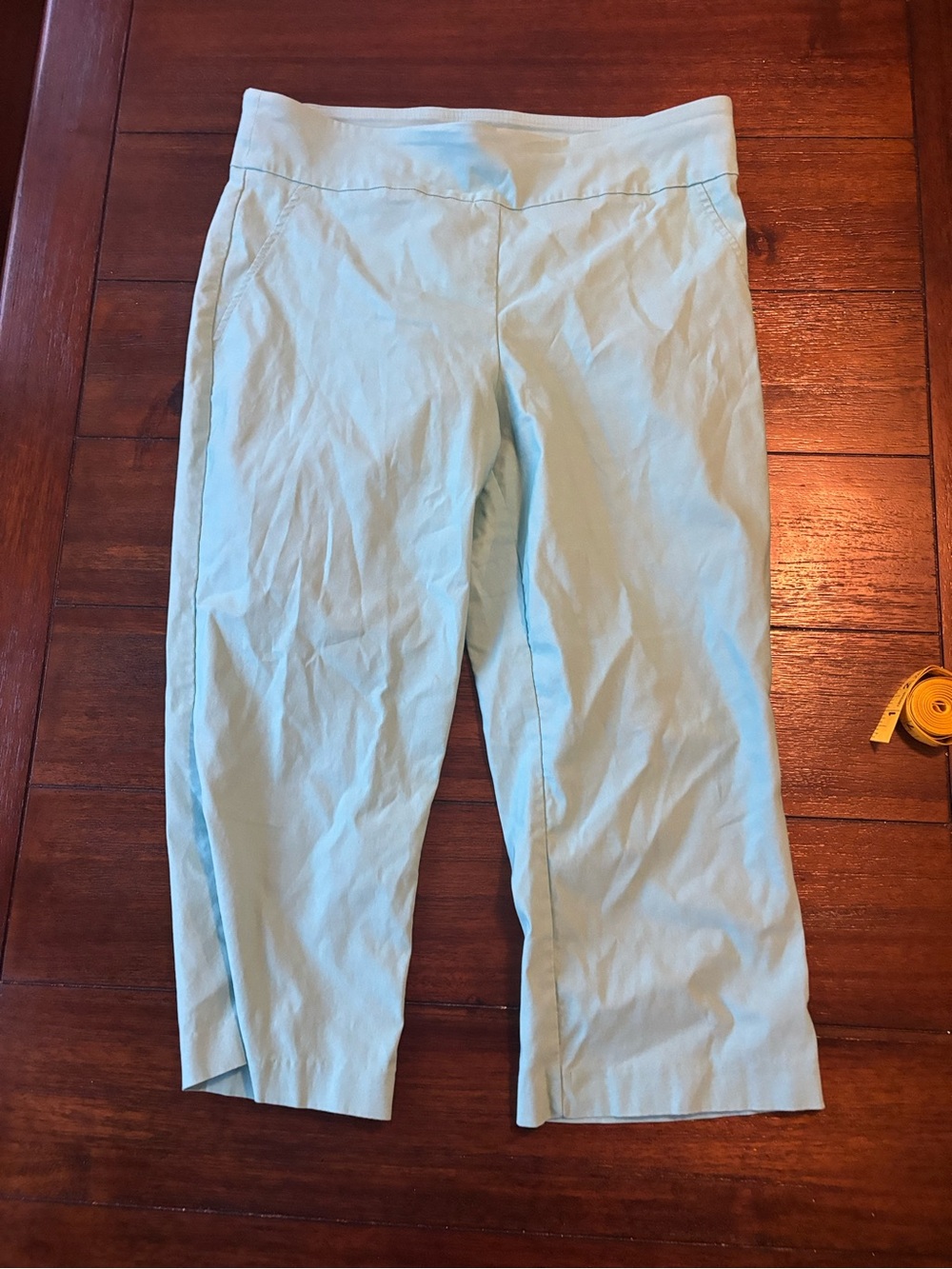 Light Blue Women's Cropped Pants